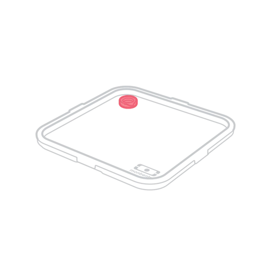 MB Cap MB Square