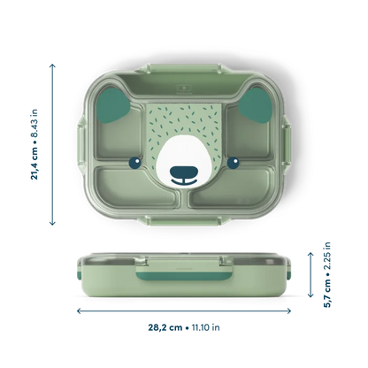 MB Wonder green Bear