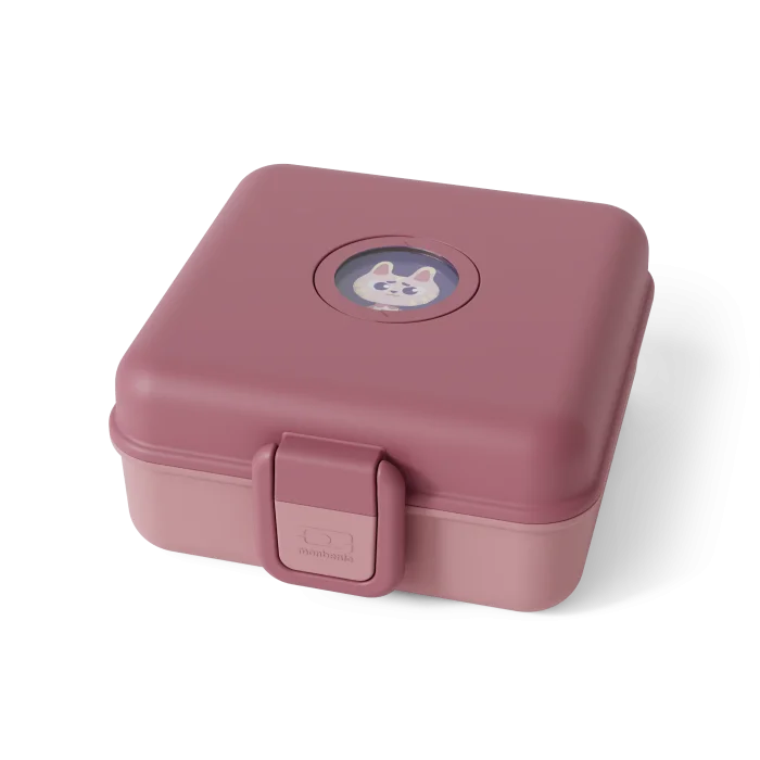 Snacky pink Blush